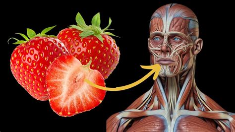 What Happens If You Start Eating Strawberries Every Day Youtube