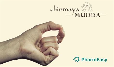 The Chin Mudra Benefits Unlocking The Power Of This Gesture AL Teach