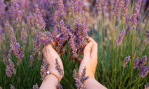 Sex Addiction Cbt How It Can Help Therapy Utah