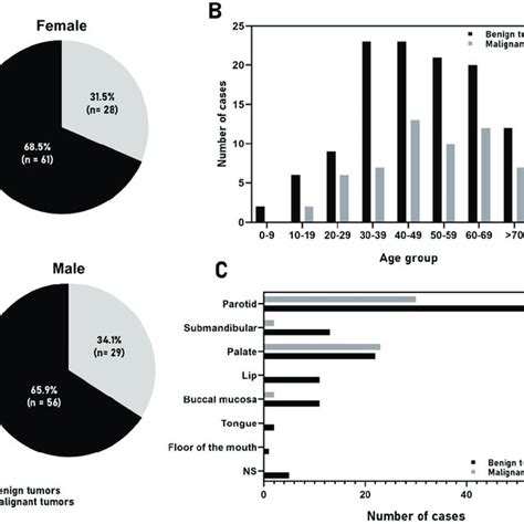 Distribution Of 174 Salivary Gland Tumors According To A Sex B Age Download Scientific