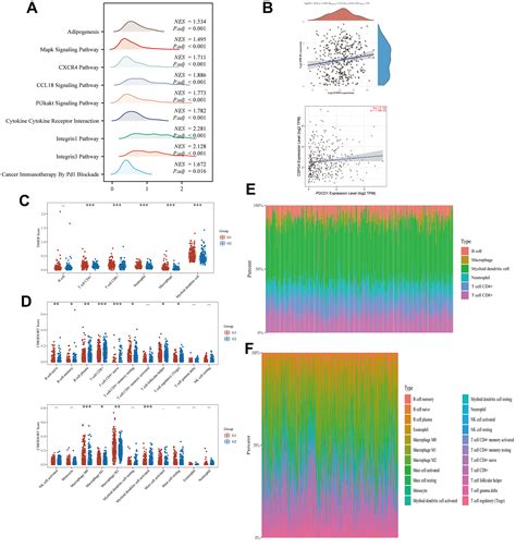 Prognostic Significance And Immunoinfiltration Analysis Of Genes