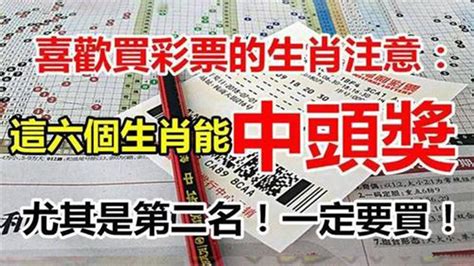 喜歡買彩票的生肖註意了！這六個生肖能中頭獎！尤其是第二名！一定要買！超準！【佛之緣】 Youtube