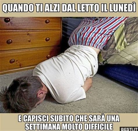 Quando Ti Alzi Dal Letto Il Luned Besti It Immagini Divertenti