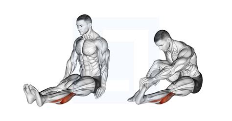 Seated Calf Stretch - Guide, Benefits, and Form