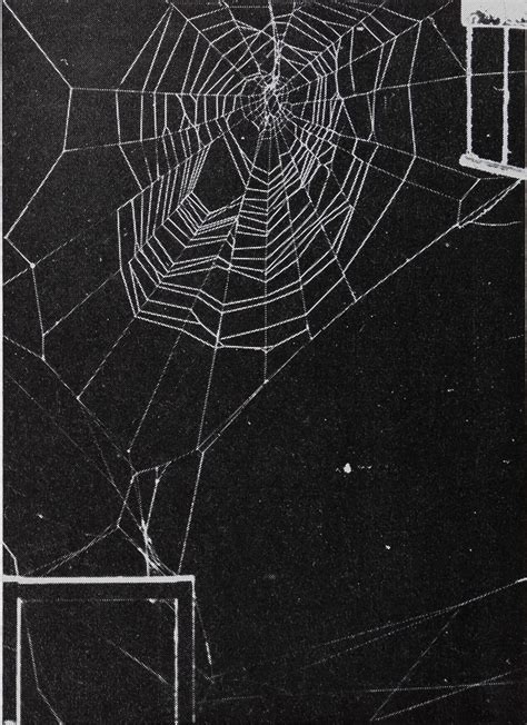 Drugs Alter Web-Building of SpidersBehavioral Science