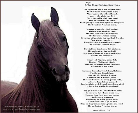 Пословицы О Коне - 54 фото