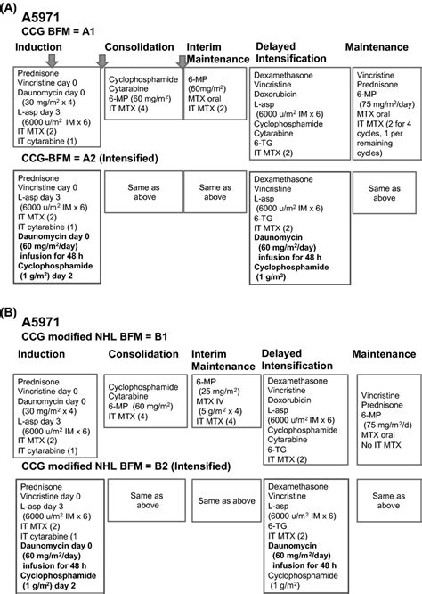 Disseminated Lymphoblastic Lymphoma In Children And Adolescents