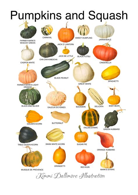 Pumpkin Varieties Squash Varieties Pumpkin Garden Veg Garden