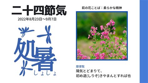 2022年「処暑（しょしょ）」はいつ？8月23日～9月7日まで 日本の暦～二十四節気 マイナス10歳の着物ライフ【onomik】