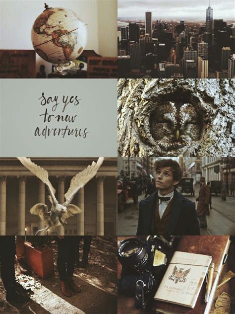 Newt Scamander Aesthetic Harry Potter Fantastic Beasts Fantasic