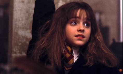 Harry Potter Hilarious Memes That Perfectly Sum Up Hermione Granger