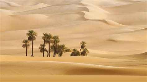 Dubai Desert Wallpapers - Top Free Dubai Desert Backgrounds ...