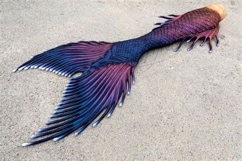 A Purple And Blue Mermaid Tail Laying On The Sand