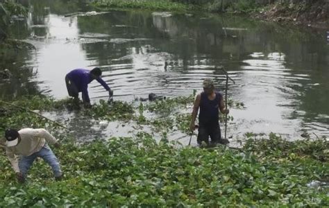 CITARUM HARUM Sub 9 Sukawangi Sektor 20 Giat Bersihkan Kali Cikarang