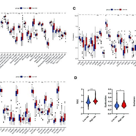 Analysis Of Immune Infiltration And Immune Related Genes A