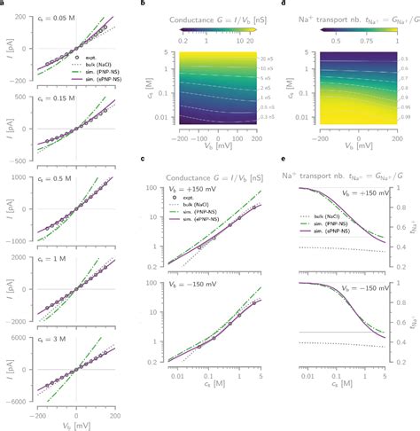 Figure From Accurate Modeling Of A Biological Nanopore With An