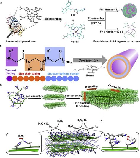 Supramolecular Enzyme Mimicking Catalysts Self Assembled From Peptides