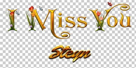 desktop resolution  display resolution png clipart p area