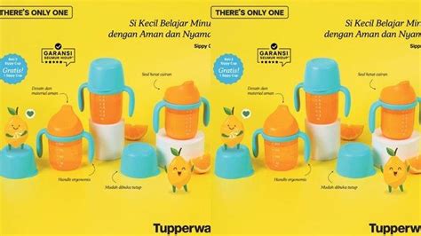 Katalog Promo Tupperware Di Akhir Bulan Oktober Tempat Minum Anak