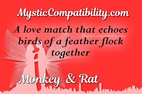 Monkey Rat Compatibility - Mystic Compatibility