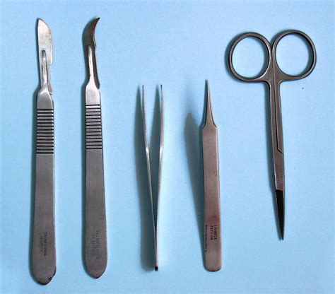 Science Dissection Tools at Kaitlyn Guest blog
