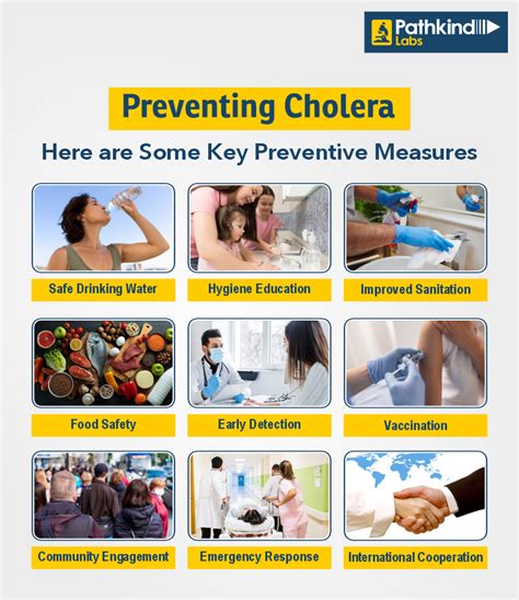 Cholera Understanding The Disease Prevention And Treatment