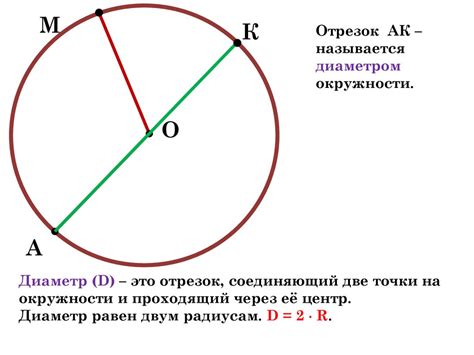 Окружность, круг, радиус, диаметр. 5 класс - презентация онлайн