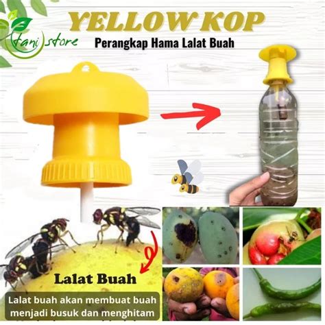 Jual Teragenol Wadah Petrogenol Perangkap Lalat Buah Botol Perangkap