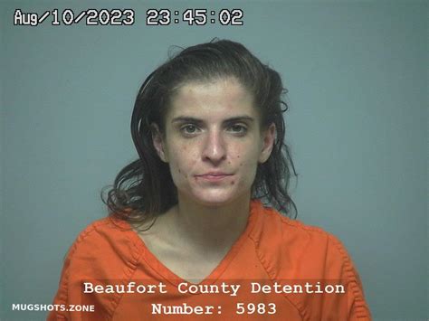 Emily Grace Higgins 08 11 2023 Beaufort County Mugshots Zone