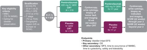 Efficacy And Safety Of Pembrolizumab Mk In Combination With