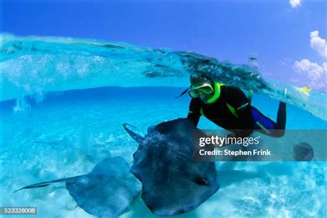 Cayman Islands Snorkeling Photos and Premium High Res Pictures - Getty ...