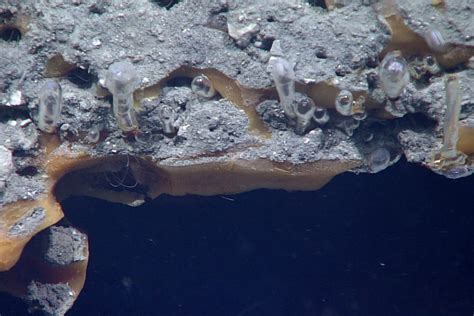 An Escape Route For Seafloor Methane Puzzling Leakage From Frozen