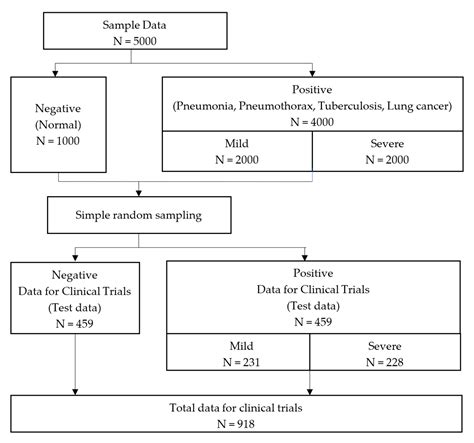 Diagnostics Free Full Text Oview Ai Supporter For Classifying Pneumonia Pneumothorax