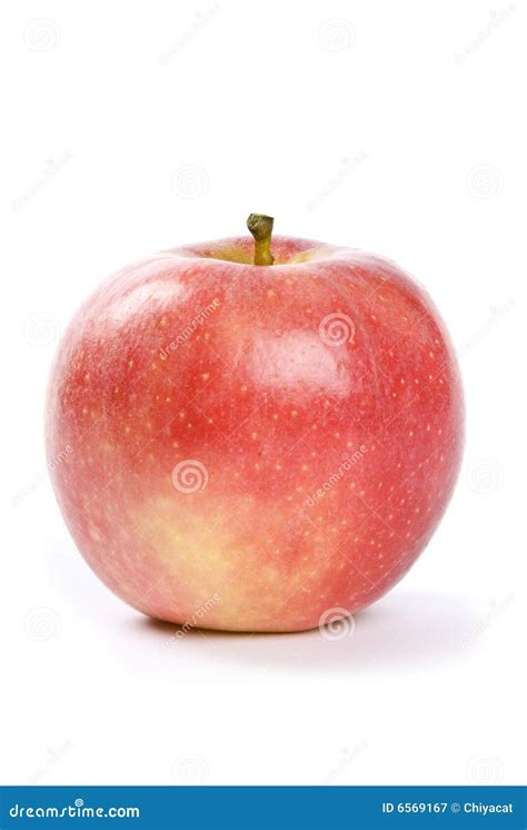 Royal Gala Apple Stock Image Image Of Delicious Pink 6569167