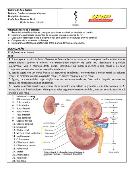 Anatomia Modulo 3 Urinario Roteiro de Aula Prática Módulo