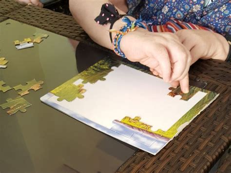 Activity "PUZZLES" - EVS