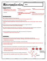 Comprehensive Guide on Biological Macromolecules and Their | Course Hero 