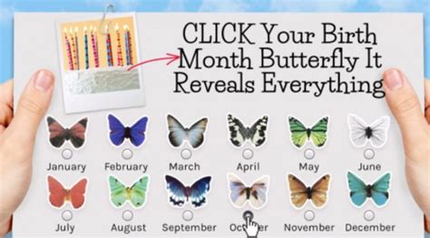 Learn About Your Birth Month Butterfly Mom Blog