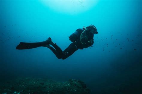 Top Questions About Scuba Diving Answered The Scuba News