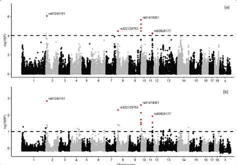 Manhattan Plots For The Genome Wide Association Analysis Of The Download Scientific Diagram