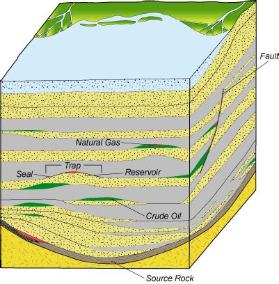 Learning Geology: Formation of coal, oil and gas