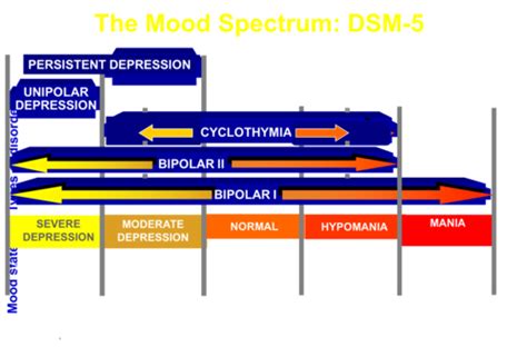 Mood Disorder Bipolar Disorder Flashcards Quizlet