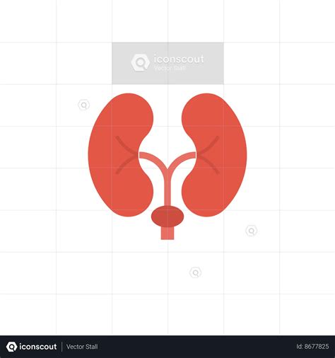 Kidney Anatomy Animated Icon - Free Download Healthcare & Medical ...