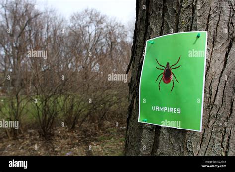 Un Poster De Sensibilisation à La Maladie De Lyme Dans Le Plateau De