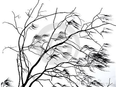 Leaves Blowing In The Wind Drawing At Paintingvalley Explore