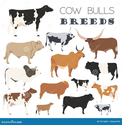 Cattle Breeding. Cow, Bulls Breed Icon Set. Flat Design Stock Vector - Illustration of grey ...