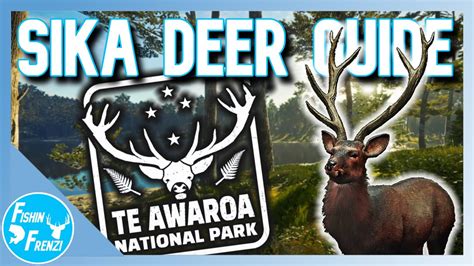 UPDATED Sika Deer Guide For Te Awaroa TheHunter Call Of The Wild