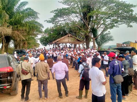 Konstatering Lahan Ptpn Vii Pn Blambangan Umpu Salah Lokasi Letak