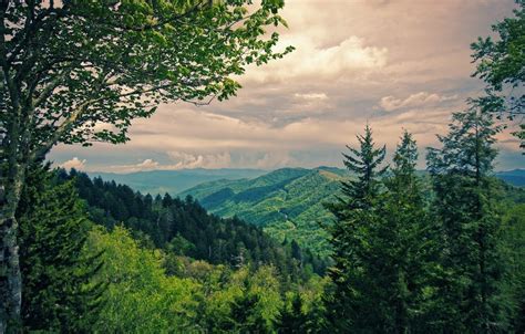 Parque nacional - Qué es, definición, características y ejemplos