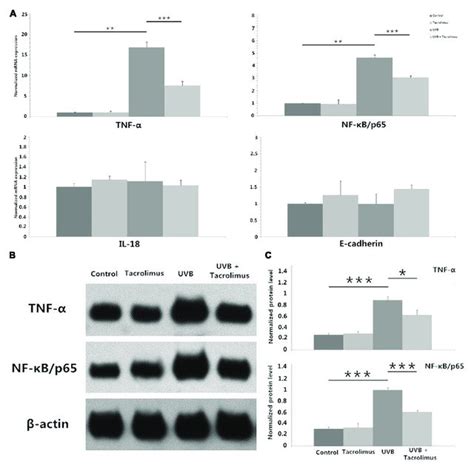 Real Time Quantitative Pcr Analyses Of Tnf α Nf κb P65 Il 18 And